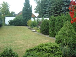 Vorher